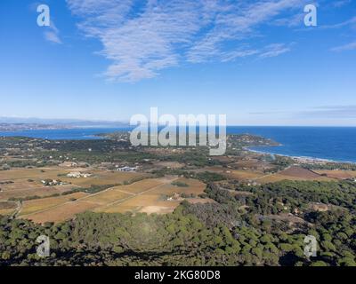 Vista dei vigneti Ramatuelle in inverno con pineta. Spiaggia di Pampelonne e golfo di Saint-Tropez in lontananza. In Francia, in Europa, in Provenza. Foto Stock