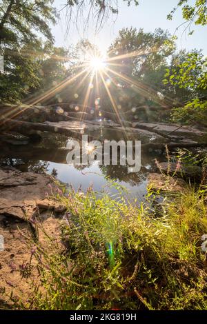 Aille river,iron red bridge and ruined sawmill, in 'plaine des Maures' natural reserve, in Vidauban, in France, in Europe. Stock Photo