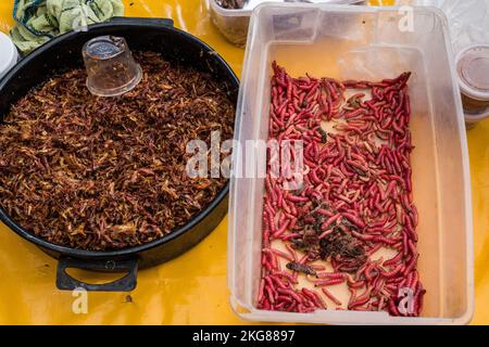 Chapulines, o grashoppers arrostiti e vermi maguey rossi per la vendita nel mercato in Zaachila, Oaxaca, Messico. I vermi maguey rossi sono conosciuti come chilocuile Foto Stock