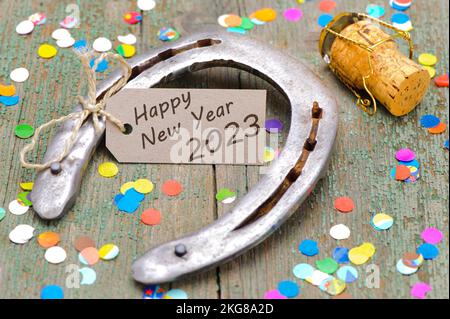 Auguri e auguri per il Silester e il nuovo anno 2023 Foto Stock