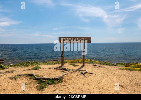 Sentiero costiero di Saint-Tropez fiancheggiato da fiori con vista sul mare tra le spiagge di Moutte e Salins Foto Stock