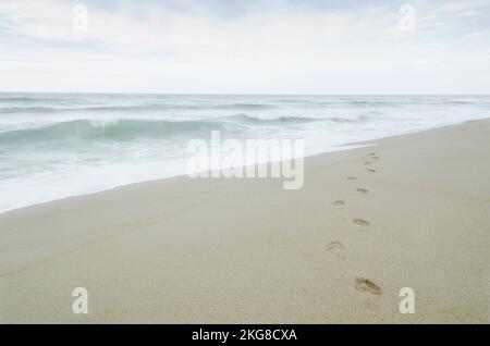 USA, Massachusetts, Cape Cod, Nantucket Island, impronte sulla spiaggia sabbiosa via mare Foto Stock