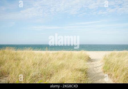 USA, Massachusetts, Cape Cod, Nantucket Island, sentiero sulla spiaggia di Siasconset con erba marram Foto Stock