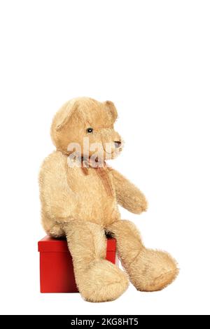 orsacchiotto in piedi accanto a un pacchetto regalo isolato su sfondo bianco Foto Stock