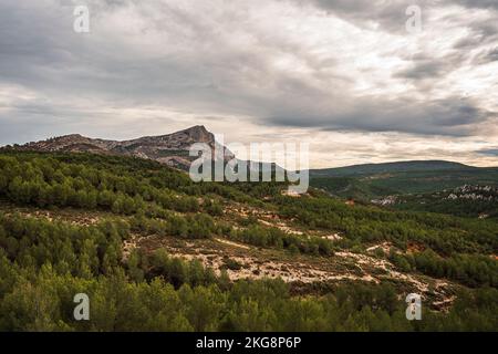 La valle verde con Montagne Sainte-Victoire sullo sfondo. Francia. Foto Stock