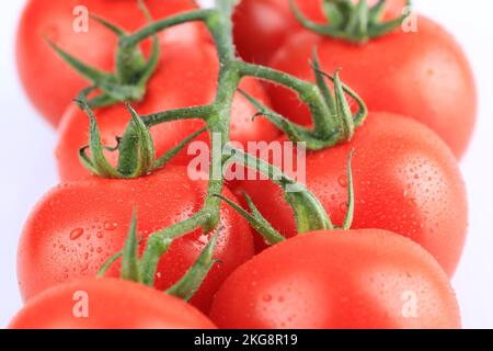 gruppo di pomodori ramati freschi su sfondo bianco Foto Stock