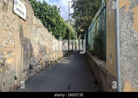 Strada stretta delimitata da un muro di pietra e una recinzione con piante su entrambi i lati Foto Stock