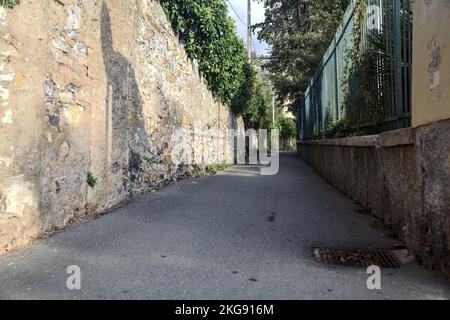 Strada stretta delimitata da un muro di pietra e una recinzione con piante su entrambi i lati Foto Stock