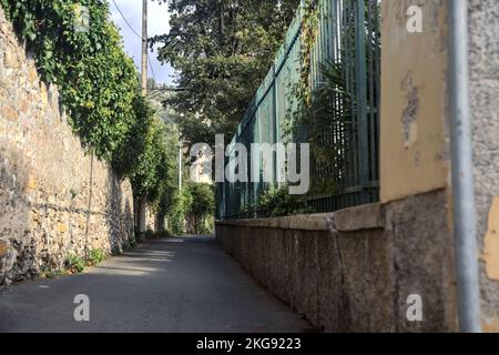 Strada stretta delimitata da un muro di pietra e una recinzione con piante su entrambi i lati Foto Stock