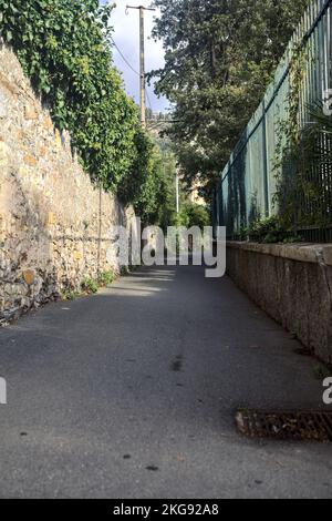 Strada stretta delimitata da un muro di pietra e una recinzione con piante su entrambi i lati Foto Stock