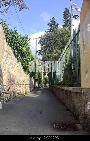 Strada stretta delimitata da un muro di pietra e una recinzione con piante su entrambi i lati Foto Stock