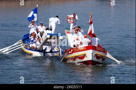 Francia, Herault ( 34 ) Palavas les Flots, torneo tradizionale di giostra sul mare nel porto di Palavas les Flots Foto Stock