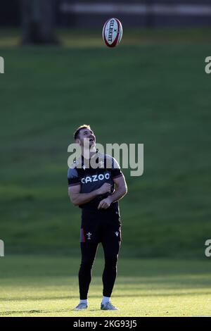 Cardiff, Regno Unito. 22nd Nov 2022. Tomos Williams of Wales durante la sessione di rugby del Galles, vale of Glamorgan martedì 22nd novembre 2022. pic di Andrew Orchard/Andrew Orchard SPORTS photography/Alamy Live News Credit: Andrew Orchard SPORTS photography/Alamy Live News Foto Stock