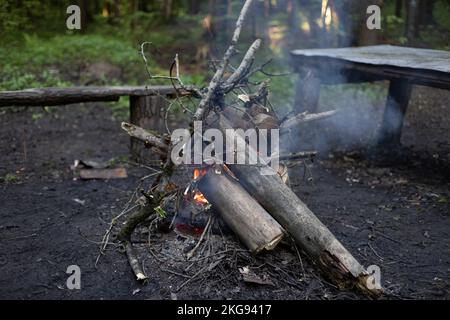 Fuoco nella foresta. Falò grande di tronchi. Fumo dalle fiamme. Processo di combustione. Bruciatura di rami. Foto Stock