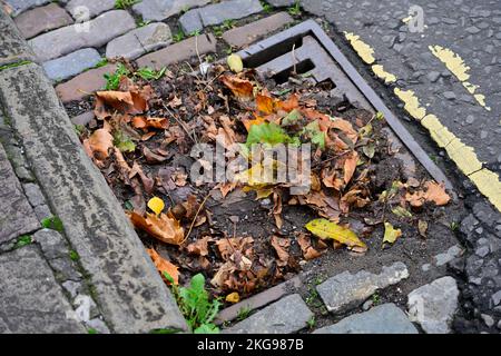 Caduta, autunno caduta foglie lavate lungo grondaia stradale per essere bloccato da ruota auto. Le foglie non sono state spazzate verso l'alto, bloccando la grondaia Foto Stock