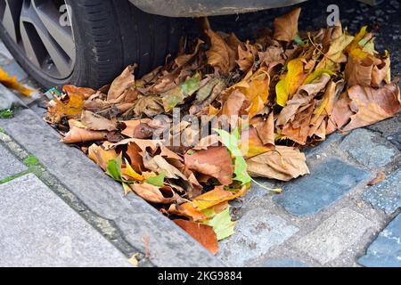 Caduta, autunno caduta foglie lavate lungo grondaia stradale per essere bloccato da ruota auto. Le foglie non sono state spazzate verso l'alto, bloccando la grondaia Foto Stock