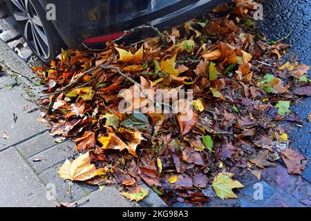 Caduta, autunno caduta foglie lavate lungo grondaia stradale per essere bloccato da ruota auto. Le foglie non sono state spazzate verso l'alto, bloccando la grondaia Foto Stock