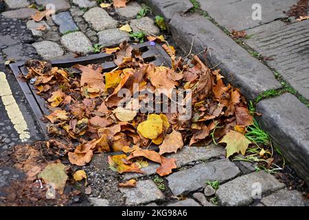 Caduta, autunno caduta foglie lavate lungo grondaia stradale per essere bloccato da ruota auto. Le foglie non sono state spazzate verso l'alto, bloccando la grondaia Foto Stock