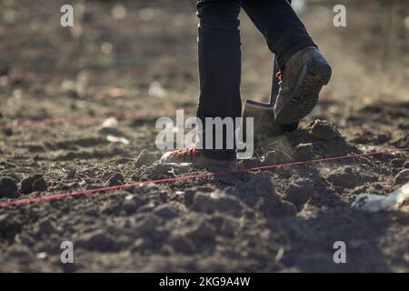 Dettagli con una persona che spala suolo asciutto, arido e polveroso durante un'attività di piantatura. Foto Stock