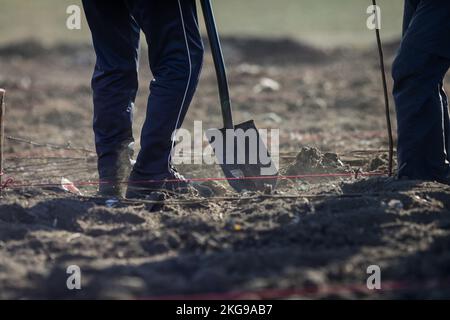 Dettagli con una persona che spala suolo asciutto, arido e polveroso durante un'attività di piantatura. Foto Stock