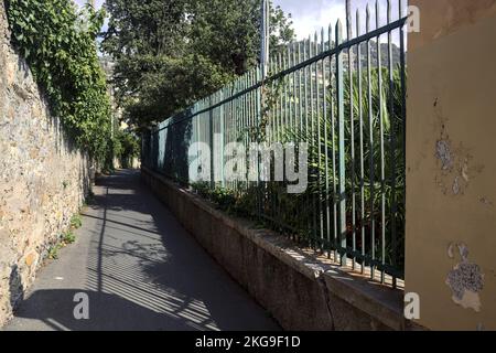 Strada stretta delimitata da un muro di pietra e una recinzione con piante su entrambi i lati Foto Stock