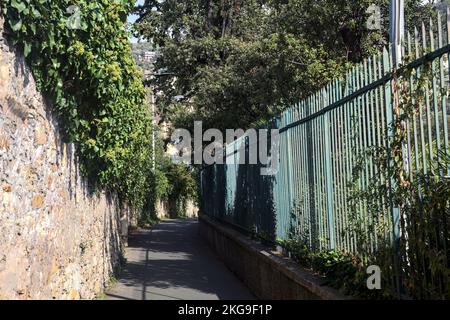 Strada stretta delimitata da un muro di pietra e una recinzione con piante su entrambi i lati Foto Stock