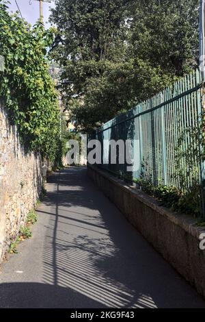 Strada stretta delimitata da un muro di pietra e una recinzione con piante su entrambi i lati Foto Stock