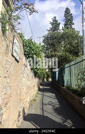 Strada stretta delimitata da un muro di pietra e una recinzione con piante su entrambi i lati Foto Stock