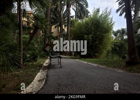 Panchina in un sentiero ombreggiato di un parco Foto Stock