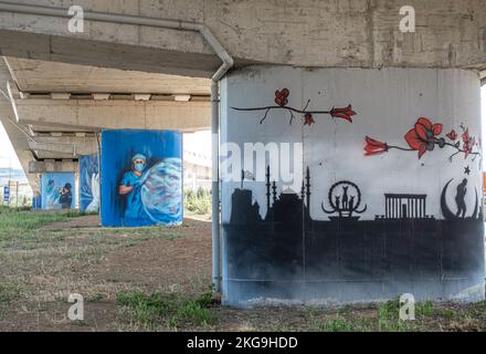 Serie di murales dedicati agli operatori sanitari in Turchia e alle proteste del personale dell'industria sanitaria. Ankara, Turchia Foto Stock