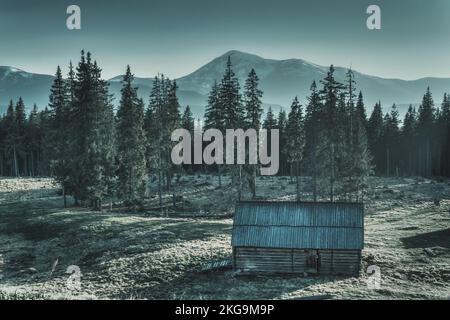 Vecchia casa in montagna vicino a fitta foresta Foto Stock