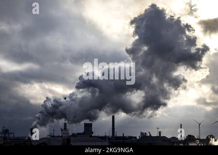 IJMUIDEN - acciaieria di Tata Steel Paesi Bassi. Anche se l'azienda siderurgica ha adottato varie misure, la polvere che si deposita nei villaggi intorno a Tata Steel è ancora altamente contaminata. ANP RAMON VAN FLYMEN olanda fuori - belgio fuori Foto Stock