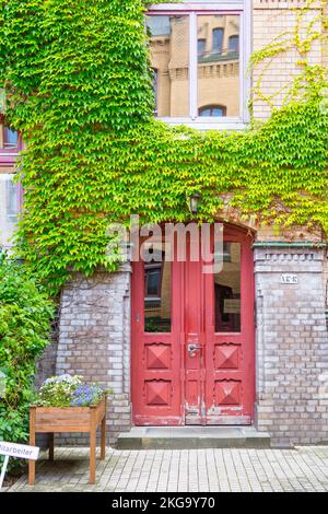 Casa storica entrata ad Amburgo. La porta anteriore rossa è incorniciata da colonne di clinker scuro. La facciata di clinker giallo chiaro è stravagata di selvaggio Foto Stock