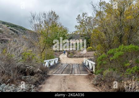 Un ponte di legno collegato a una ferrovia sterrata inizia un'escursione sull'isola di Santa Rosa nelle Isole del canale della California. Foto Stock