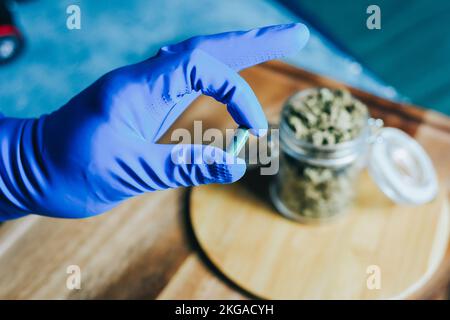 Marijuana in medicina. La marijuana urta nelle mani di un medico, di uno scienziato. Guanti blu Foto Stock