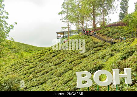 Centro del tè BOH presso la piantagione di tè del Giardino del tè di Sungai Palas a Cameron Highland, Malesia. Foto Stock