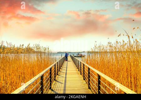 Lago Scharmuetzelsee a Bad Saarow, Germania Foto Stock