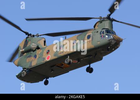 Prefettura di Chiba, Giappone - 10 gennaio 2010: Elicottero pesante Chinook Boeing CH-47J della forza di autodifesa di terra del Giappone. Foto Stock