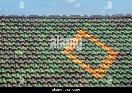 Tetto della casa con tegole colorate, tegole, Palatinato, Renania-Palatinato, Germania, Europa Foto Stock