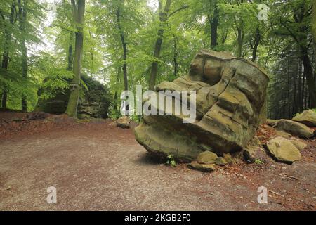 Formazione rocciosa nella gola del Diavolo, Eifel Sud, Irrel, Eifel Sud, Eifel, Renania-Palatinato, Germania, Europa Foto Stock