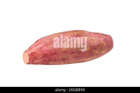 Patate dolci una rosa isolato su sfondo bianco Foto Stock