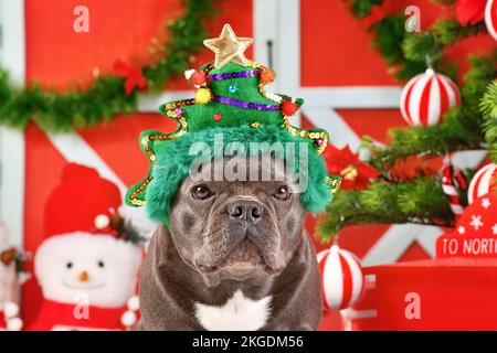 Cane Bulldog francese indossando divertente archetto albero di Natale di fronte alla decorazione stagionale Foto Stock