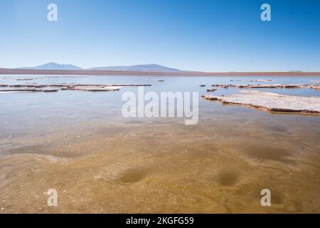 Vista panoramica della Laguna Hedionda sull'Altiplano (alta pianura), Provincia di sur Lípez, Bolivia Foto Stock