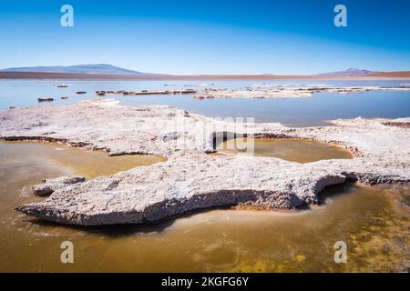 Vista panoramica della Laguna Hedionda sull'Altiplano (alta pianura), Provincia di sur Lípez, Bolivia Foto Stock