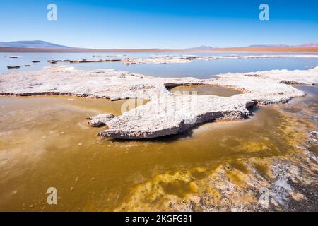 Vista panoramica della Laguna Hedionda sull'Altiplano (alta pianura), Provincia di sur Lípez, Bolivia Foto Stock