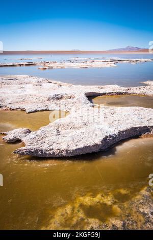 Vista panoramica della Laguna Hedionda sull'Altiplano (alta pianura), Provincia di sur Lípez, Bolivia Foto Stock