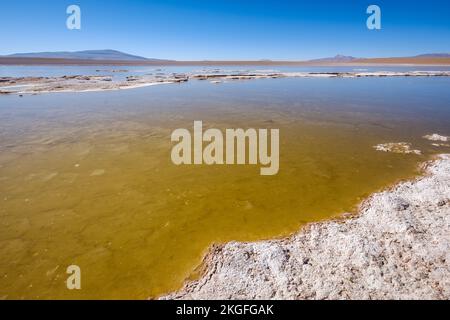 Vista panoramica della Laguna Hedionda sull'Altiplano (alta pianura), Provincia di sur Lípez, Bolivia Foto Stock