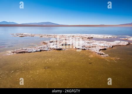 Vista panoramica della Laguna Hedionda sull'Altiplano (alta pianura), Provincia di sur Lípez, Bolivia Foto Stock