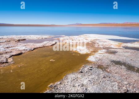 Vista panoramica della Laguna Hedionda sull'Altiplano (alta pianura), Provincia di sur Lípez, Bolivia Foto Stock