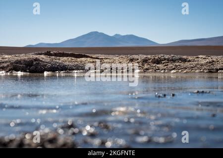 Vista panoramica della Laguna Hedionda sull'Altiplano (alta pianura), Provincia di sur Lípez, Bolivia Foto Stock